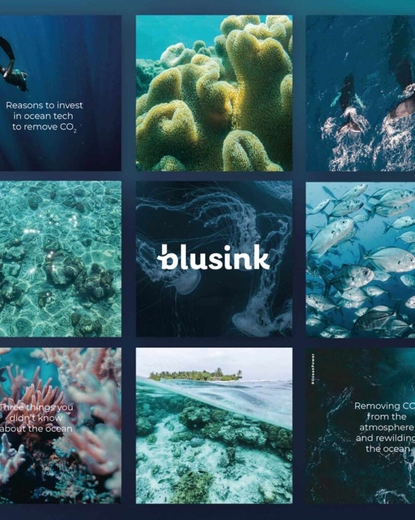 blusink